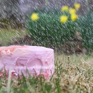 Someone's Left A Cake Out In The Rain