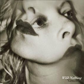 The World of Wild Nothing