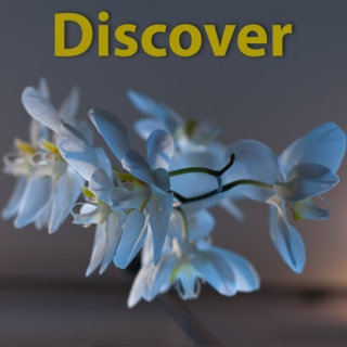 Discover mix