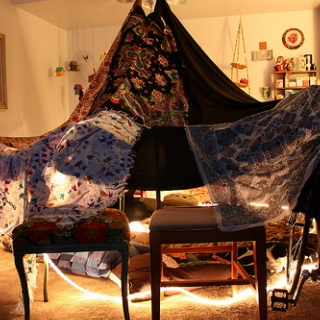 You Honestly Think I Can Study When I Could Potentially be Building a Fort?! Dammit, I'll do Both!
