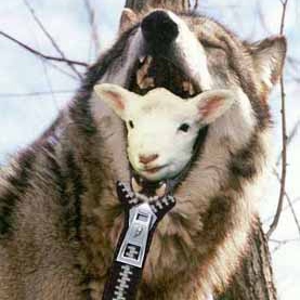 Image result for sheep in wolf's clothing