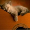 catching some shut eye with a little acoustic in the background