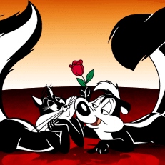 to: pepe le pew, love: penelope pussycat Vol. I