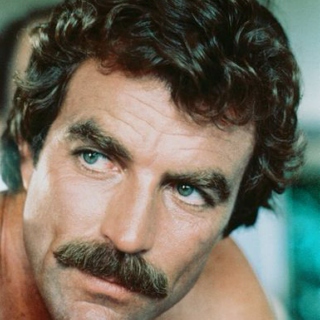 If I were Tom Selleck's Moustache...