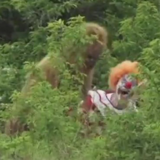a sasquatch raping a space clown in a field: what could ever go wrong?!