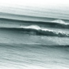 northern surf