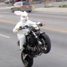 What Does the Easter Bunny Like To Do?