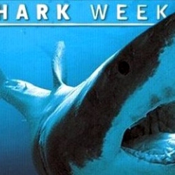 Shark Week by DML.fm