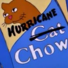 Hurricane Chow Mix