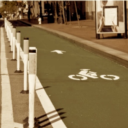 Sun-Drenched Bike Lanes