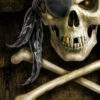 Arrr!! I'm a Pirate