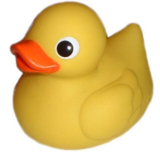 twee as duck
