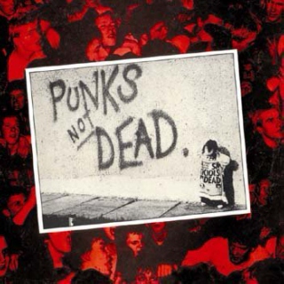 Punk/DIY:  15 tracks in 30 minutes