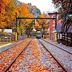 For Autumn: Train Cars and Slide Guitars, Pt. 3
