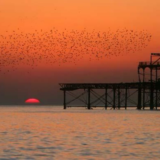 Brighton sunset chillout