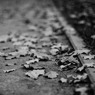 Season of Sad Piano and Falling Leaves...