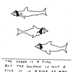 Sharks are better than dolphins
