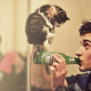 I Like To Party With My Cat..