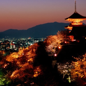 Kyoto, Je T'Aime