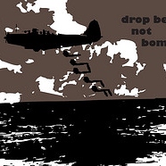 Drop Beats Not Bombs 
