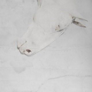 Fear of a White Horse