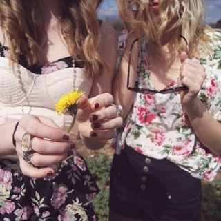 We're Finally Dating / I Want to Pick Dandelions Right Now / Everything is Wonderful