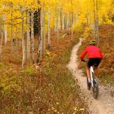 Your Autumn Biking Music
