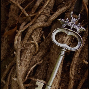 keys to the forest 
