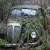 Rural Decay and Damnation: 2011