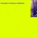 while you cry when reading "Perks of Being a Wallflower"