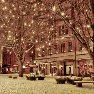 Christmas Lights!    ♥