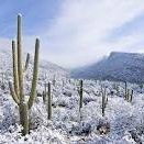 A Snowy Day In Arizona