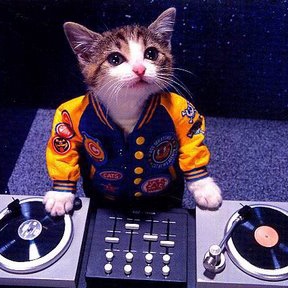 DJ Catspins #552