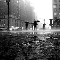 Rain in the city