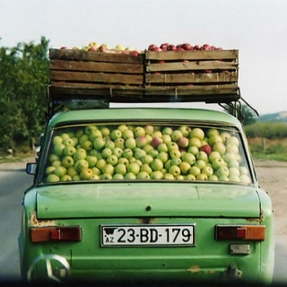 Picking apples to pay for fuel.