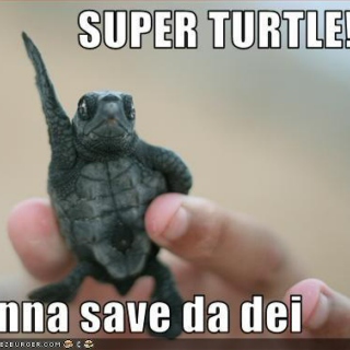 Super Turtle Mix