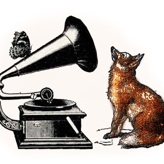 The Foxfires Phonograph