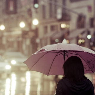 an umbrella in the rain