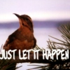 February 2012 - "Just Let It Happen"