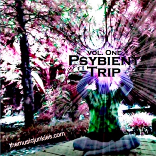 Psybient-Trip Vol. 01