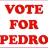 vote for pedro, or, middle school dance 