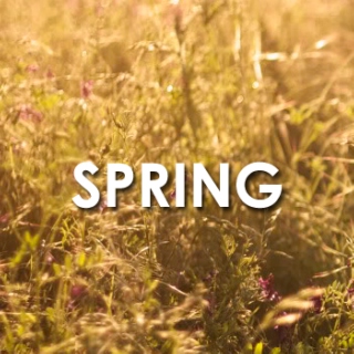 Spring Mix '12 