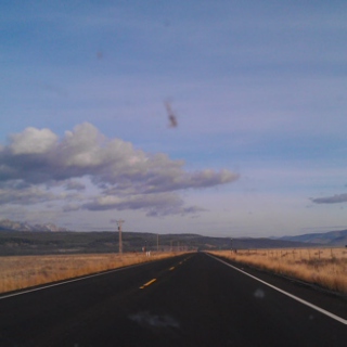 Tiny House Road Trip, Vol. 2: Bugs on the Windshield