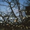 All the pretty Lights in the Sky".