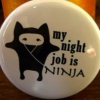 My Night Job is Ninja