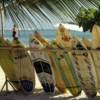 Coronas, coconuts ,and boards.