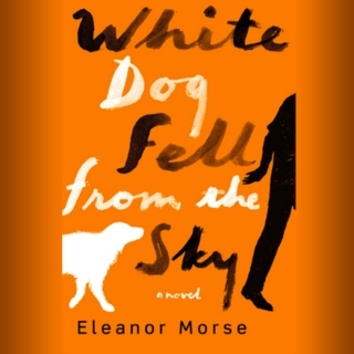 White Dog Fell From The Sky by Eleanor Morse