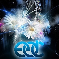 Electric Daisy Carnival 2012
