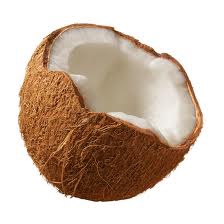 Songs about Coconuts