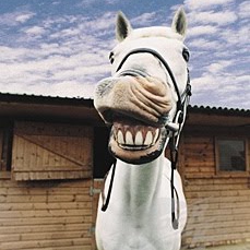 Smile Like a Race Horse